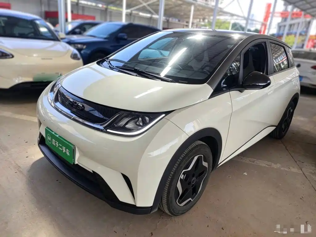 BYD Dolphin — миниатюра 2