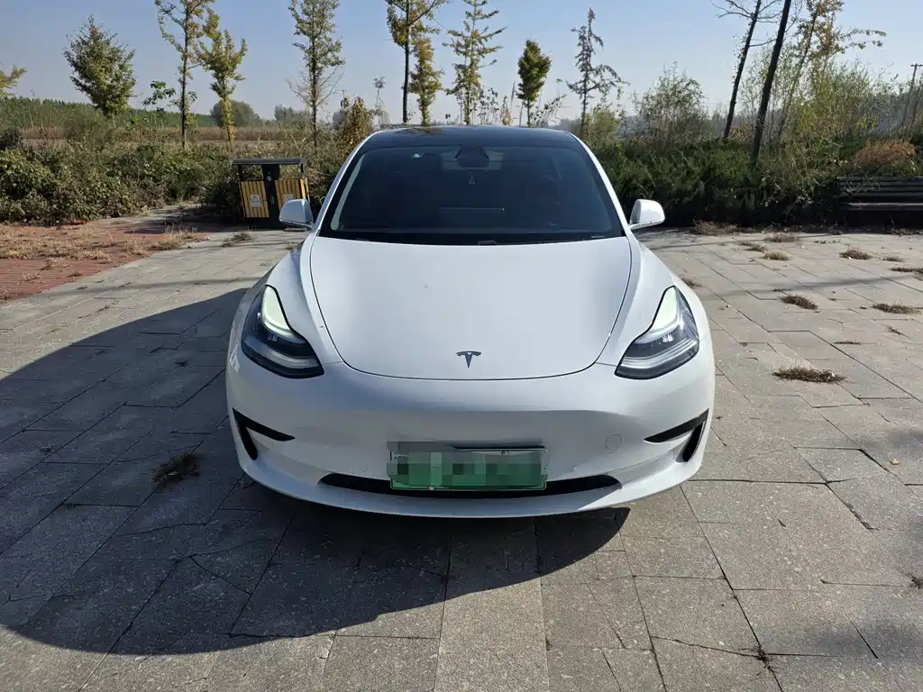 Tesla Model 3 — миниатюра 2