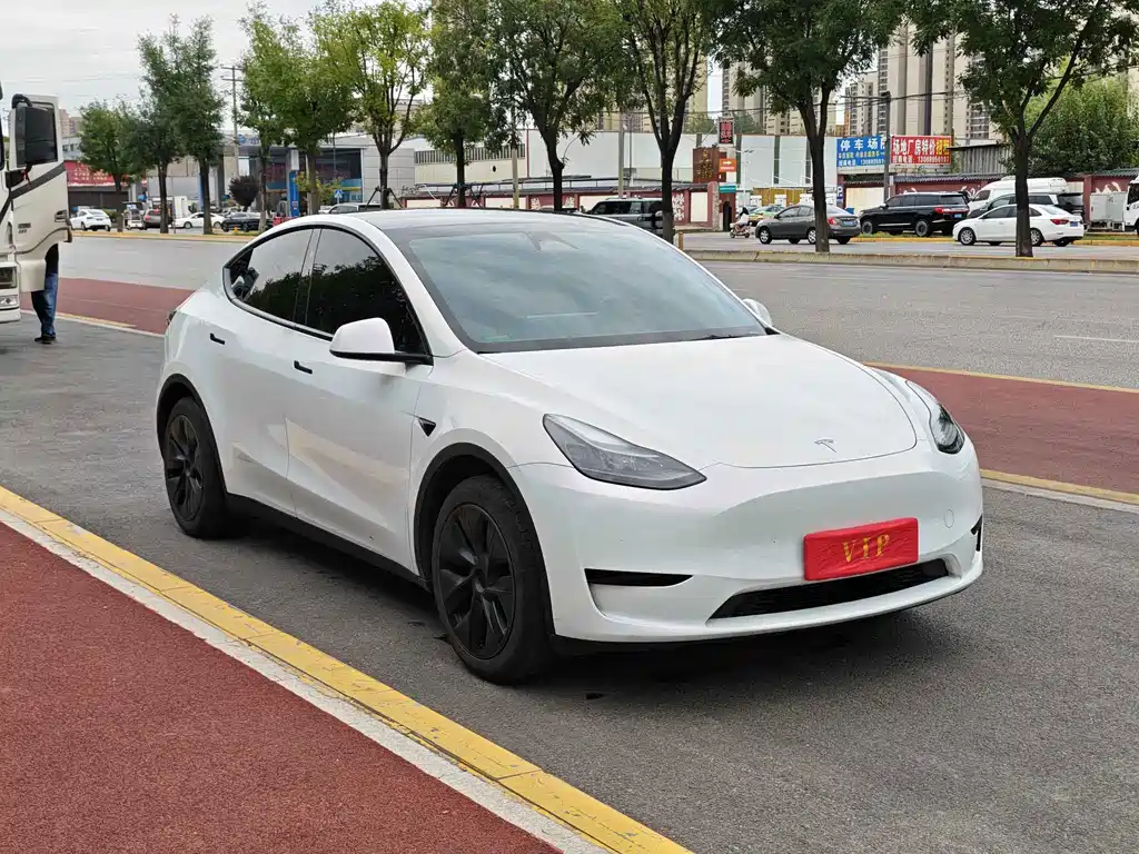 Tesla Model Y — миниатюра 3
