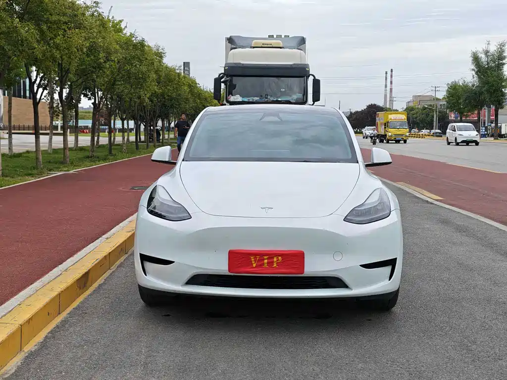 Tesla Model Y — миниатюра 2