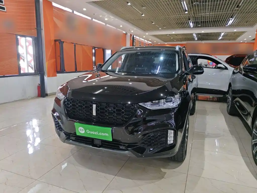 Wey Wey VV6 — миниатюра 2