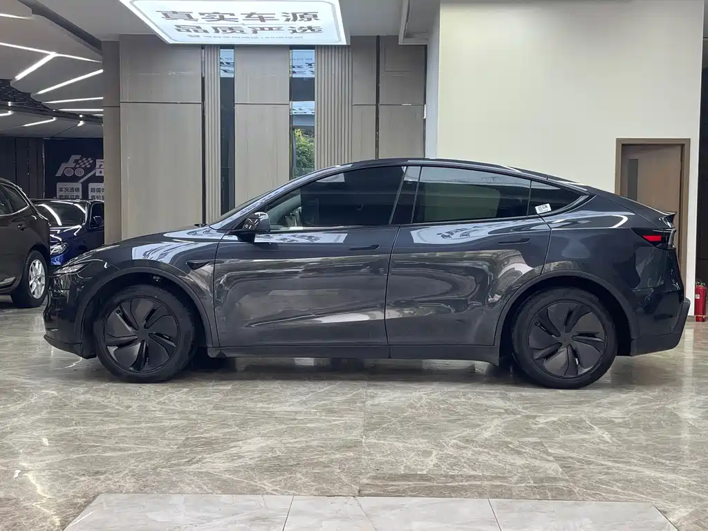 Tesla Model Y — миниатюра 4