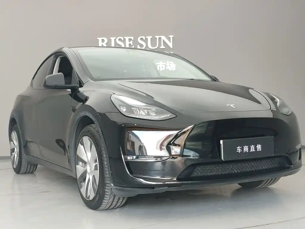 Tesla Model Y — миниатюра 3