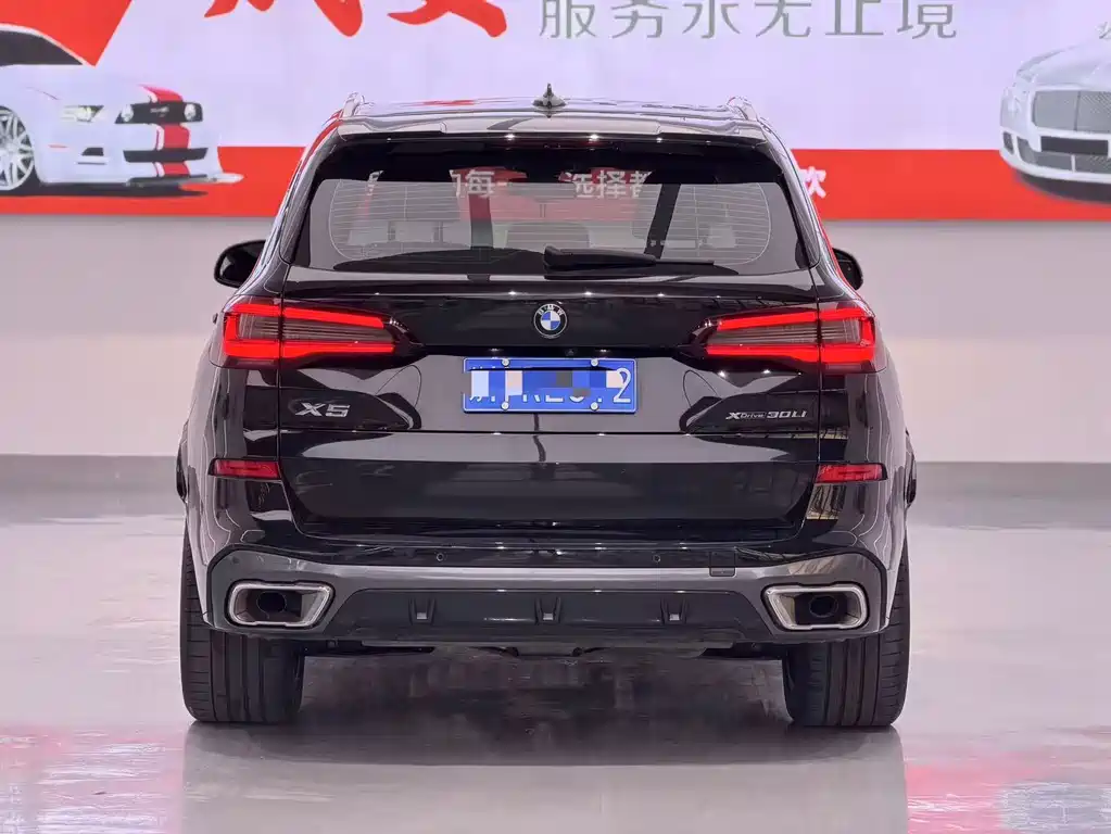 BMW X5 — миниатюра 8