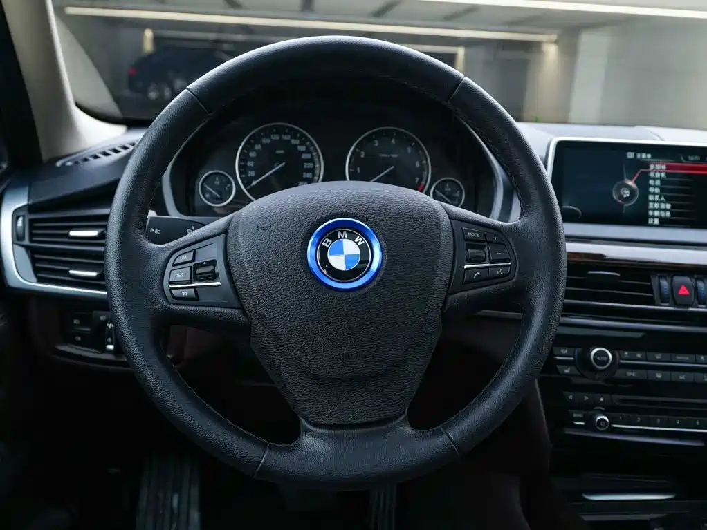 BMW X5 (Import) — миниатюра 21