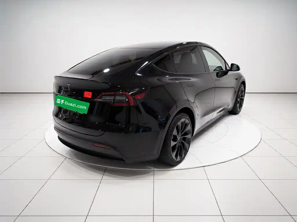 Tesla Model Y — миниатюра 4