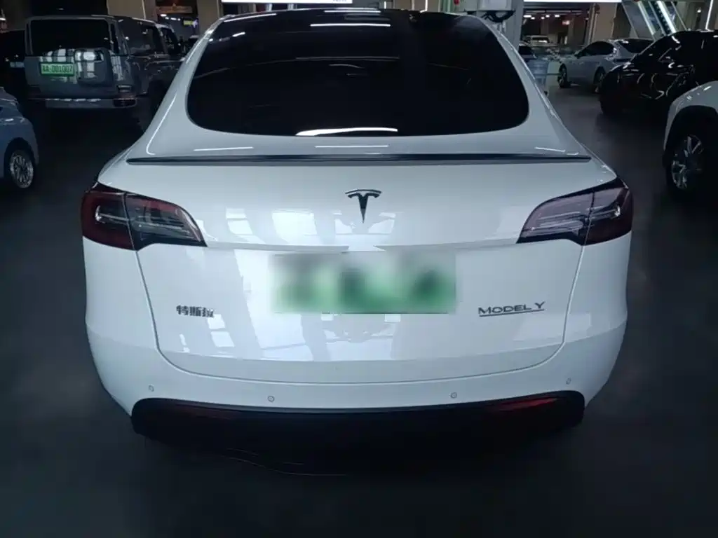 Tesla Model Y — миниатюра 6