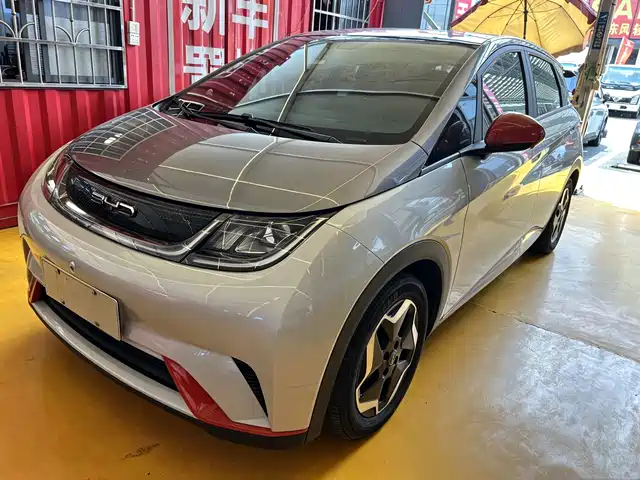 2022 BYD Dolphin