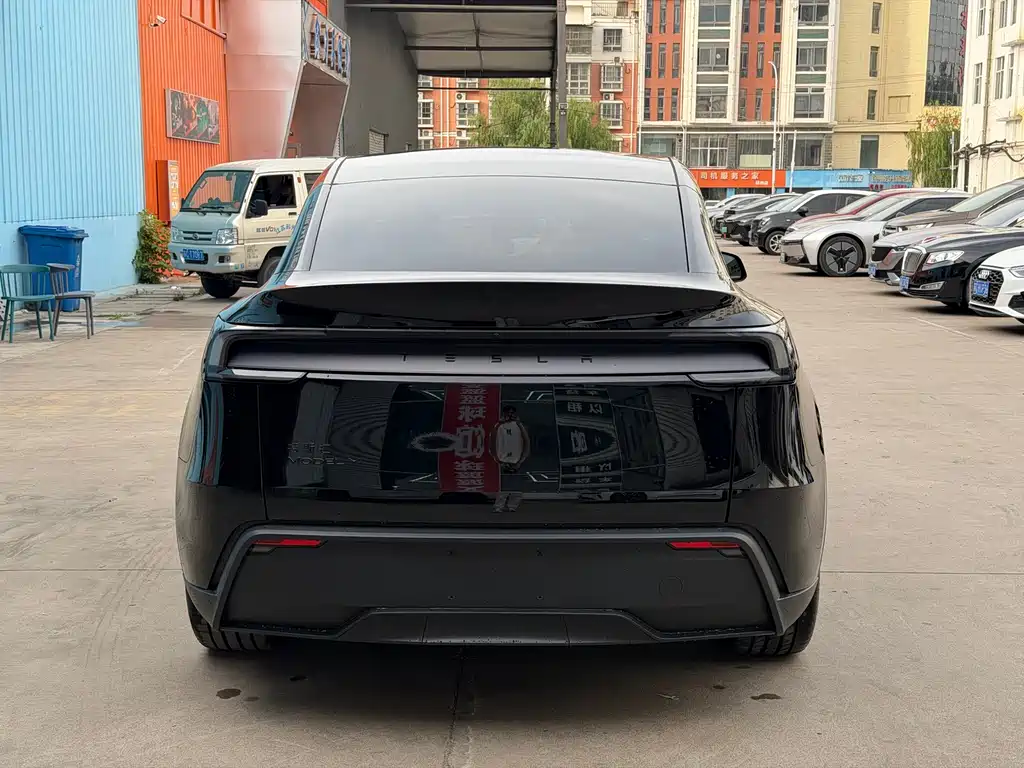 Tesla Model Y — миниатюра 5