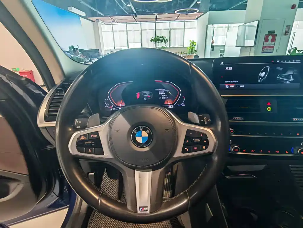 BMW X3 — миниатюра 17