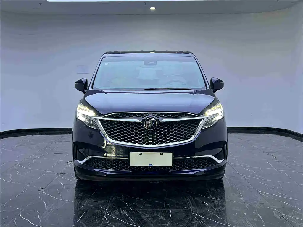 Buick GL8 2020 Avenir мест