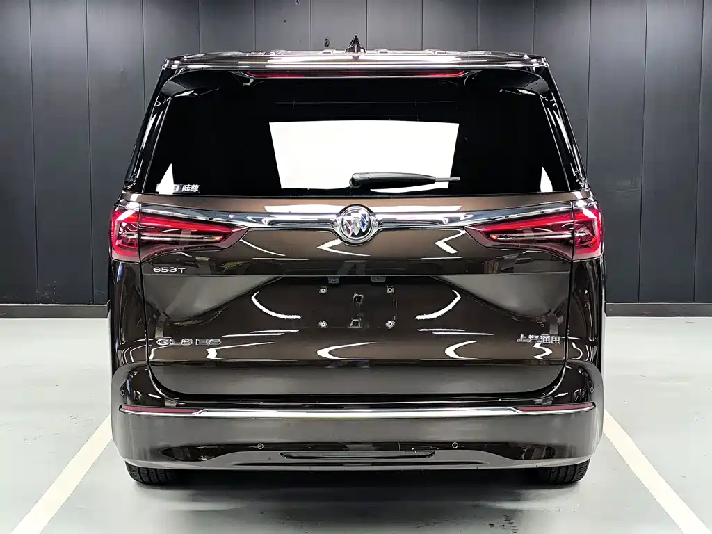 Buick GL8 — миниатюра 21