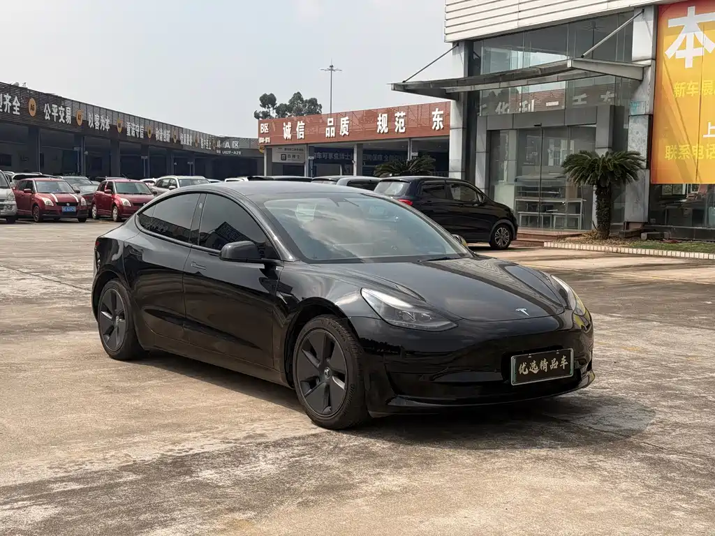 Tesla Model 3 — миниатюра 3