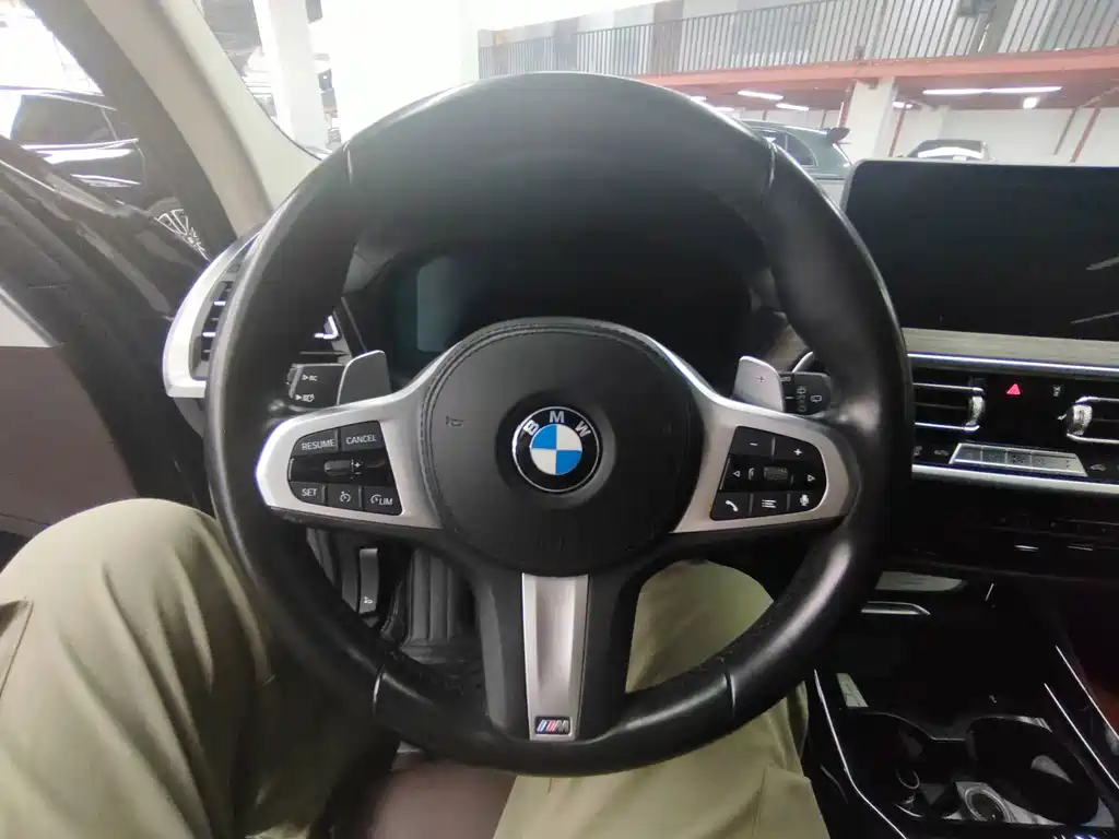BMW X3 — миниатюра 6