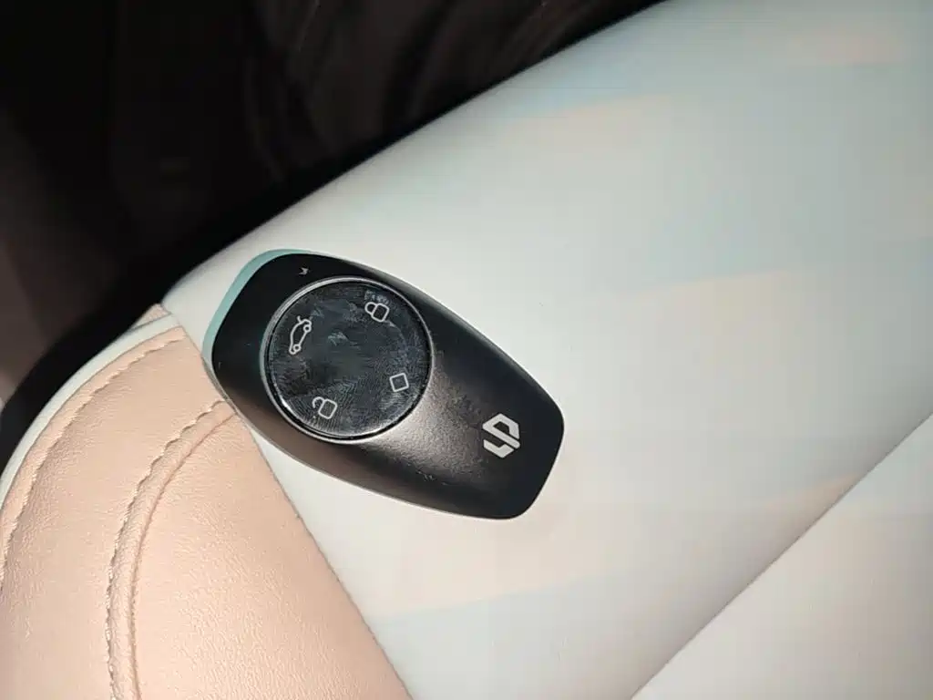 Leapmotor T03 2024 310