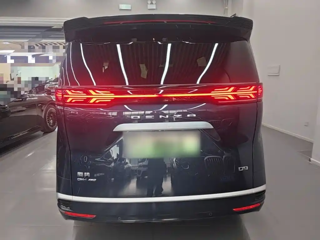 Denza Denza D9 — миниатюра 6