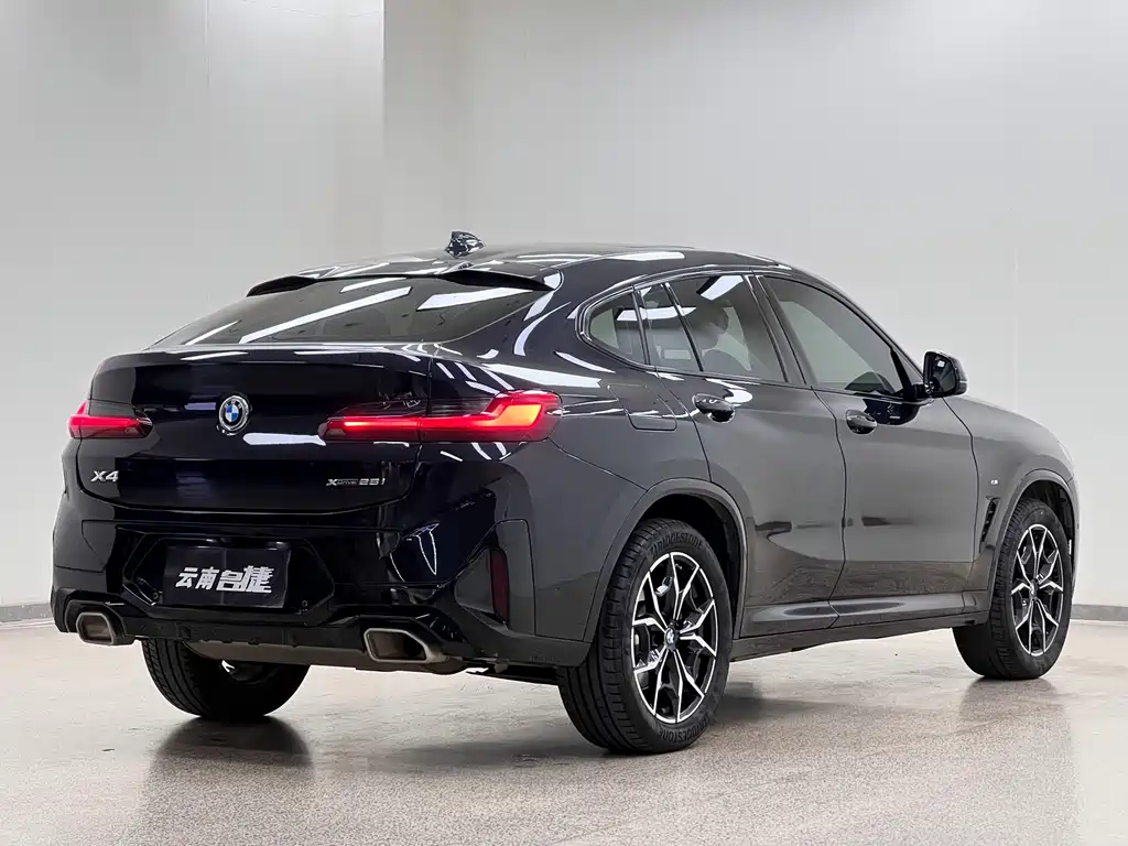 BMW X4 — миниатюра 7