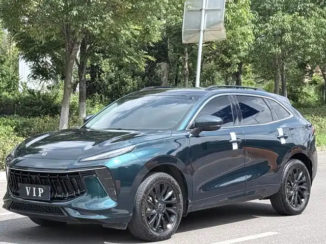 DONGFENG POPULAR T5 EVO 2022