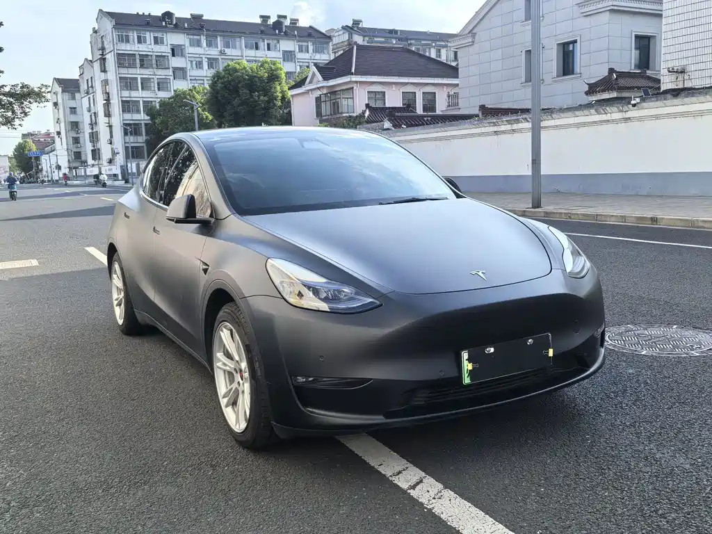Tesla Model Y — миниатюра 2
