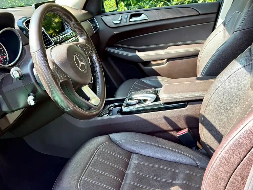 Mercedes-Benz GLE (Import) — миниатюра 5