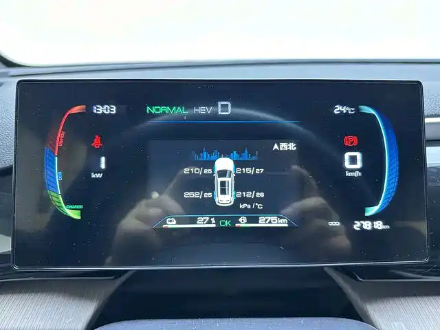 BYD Pro New Energy — миниатюра 8