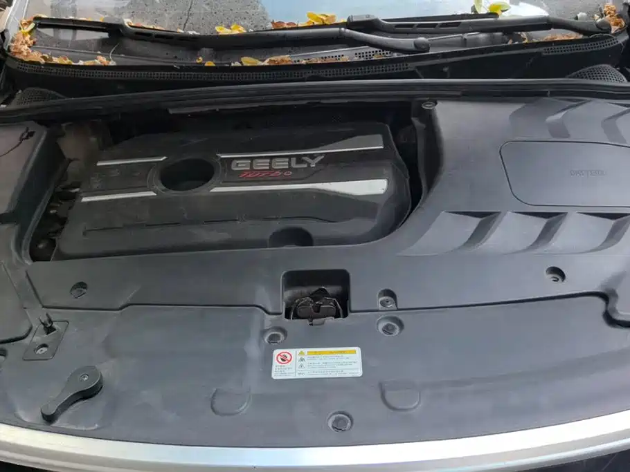 Geely Emgrand GS — миниатюра 10