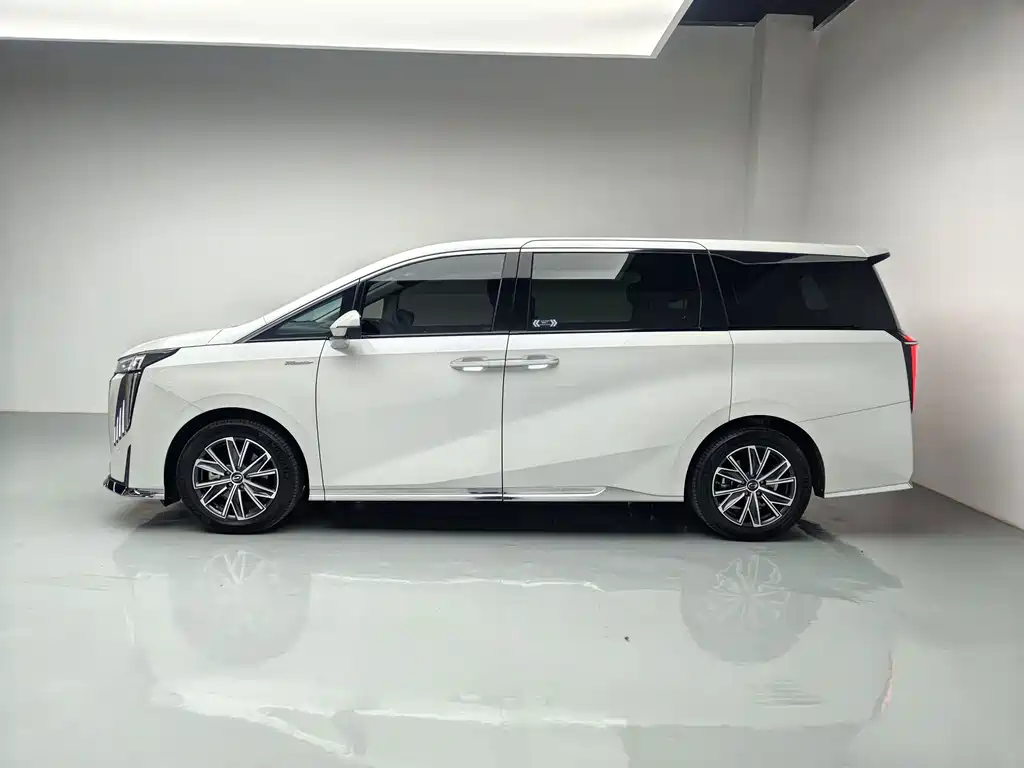 GAC Motor Trumpchi M8 — миниатюра 8