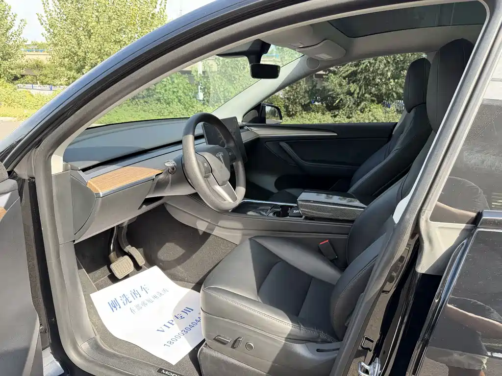Tesla Model Y — миниатюра 3