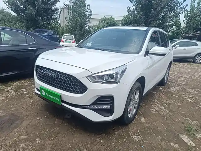 2019 Haval M6