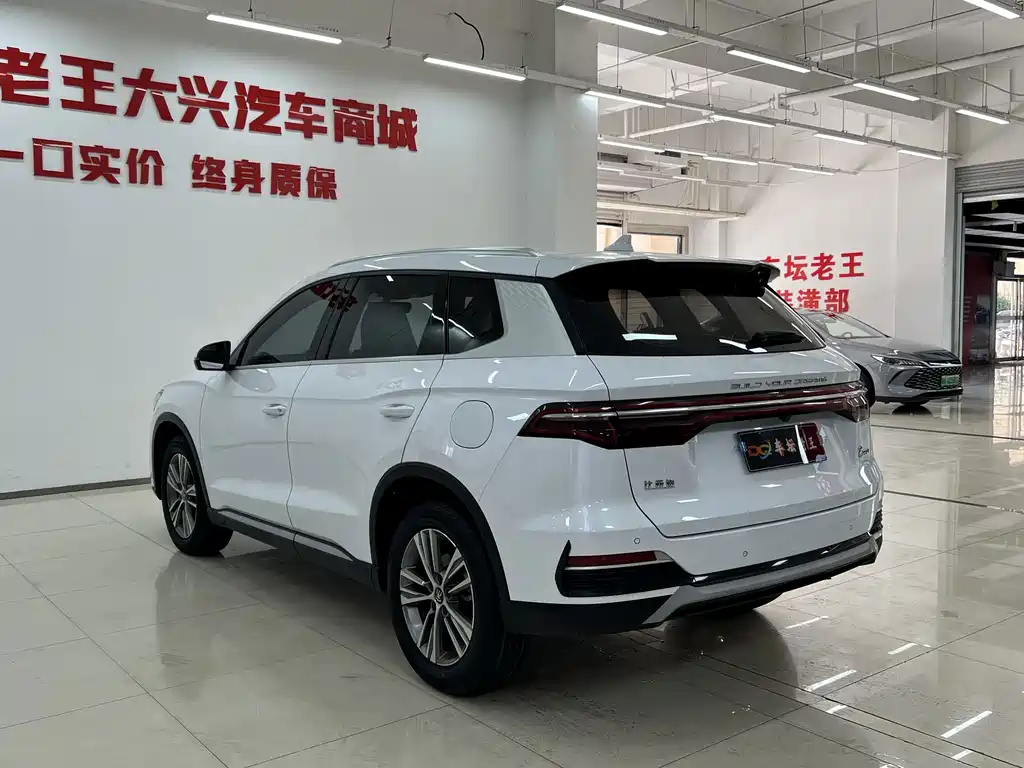 BYD Pro — миниатюра 14