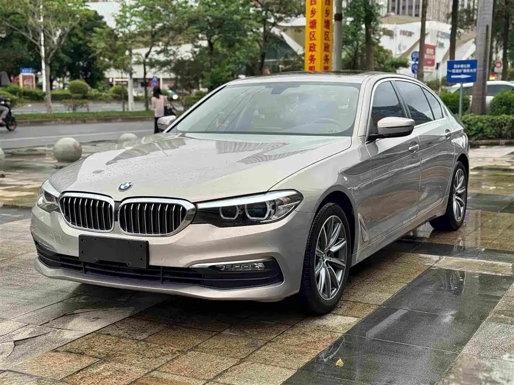 BMW 5 Series 5 2018 528Li