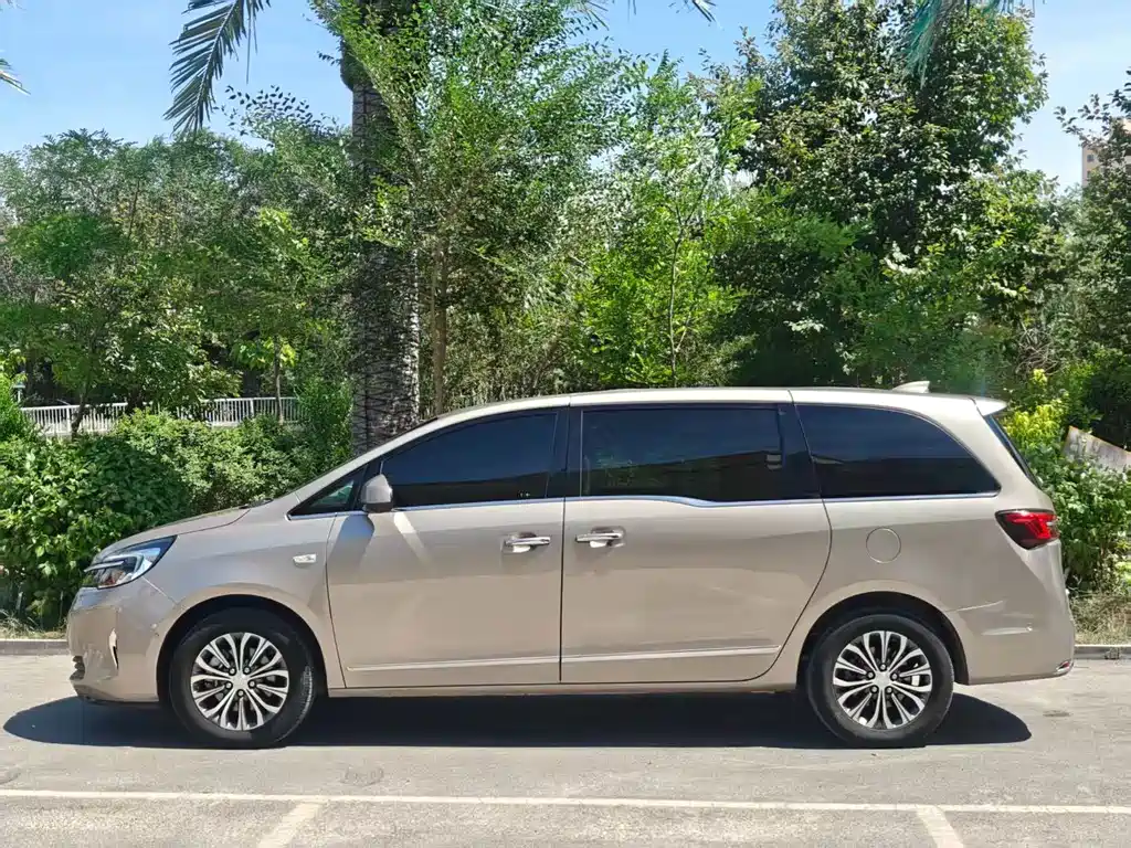 Buick GL8 — миниатюра 3