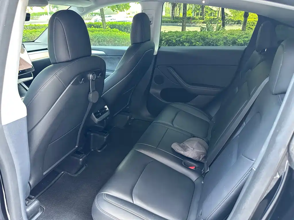Tesla Model Y — миниатюра 7