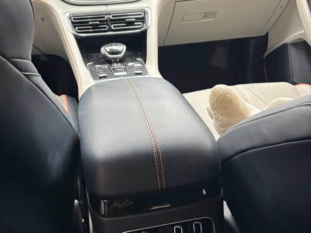 BYD PLUS New Energy — миниатюра 12
