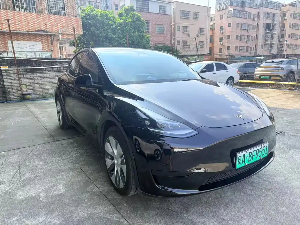 Tesla Model Y — миниатюра 3