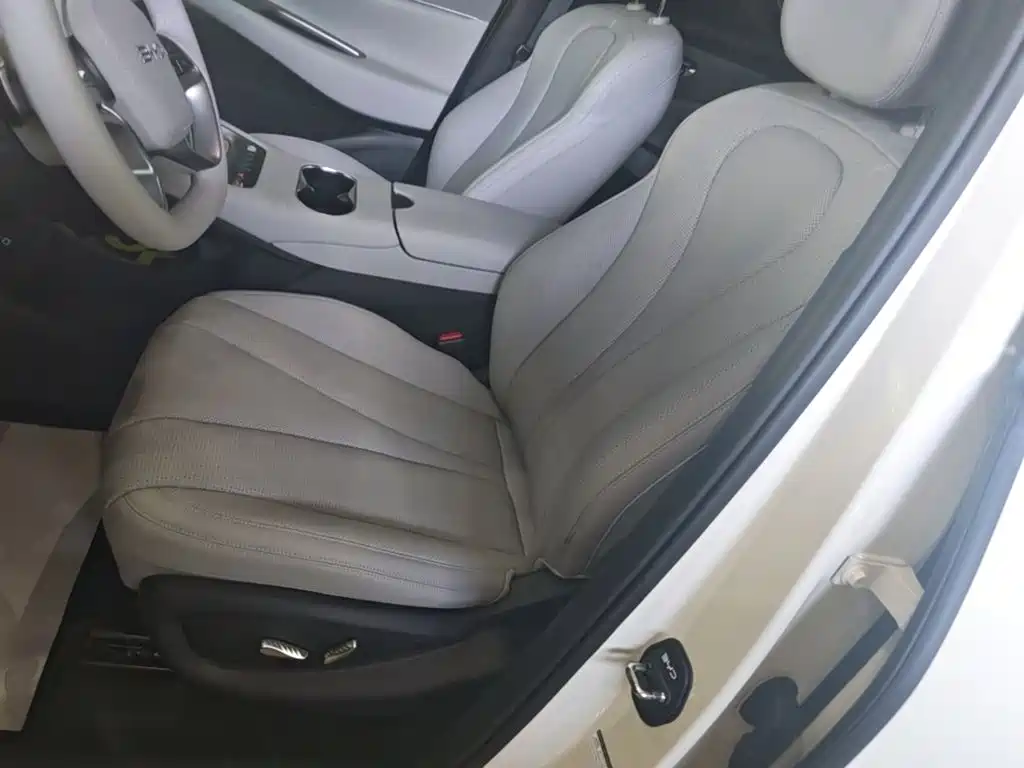BYD Sealion 06 — миниатюра 15