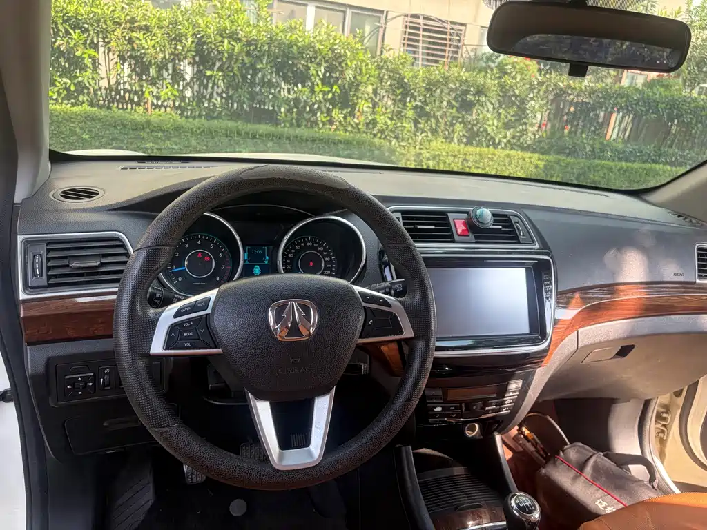 BAW Weiwang S50 — миниатюра 13