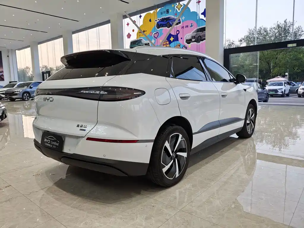 BYD Sealion 06 — миниатюра 5