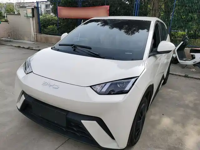 2025 BYD Seagull