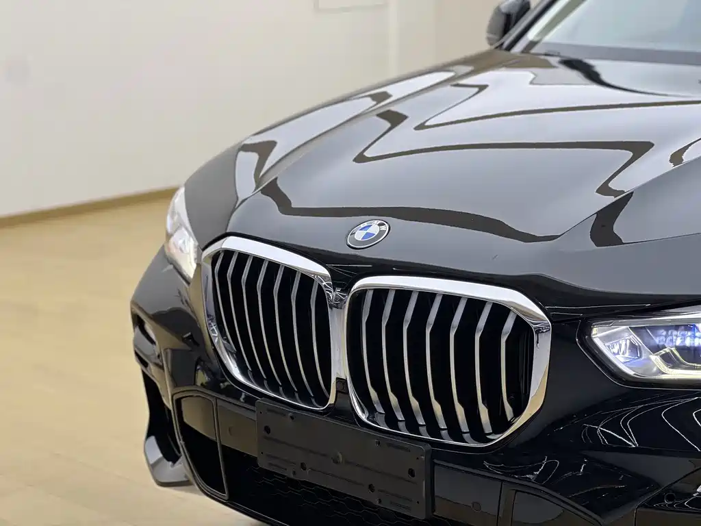BMW X5 (Import) — миниатюра 5