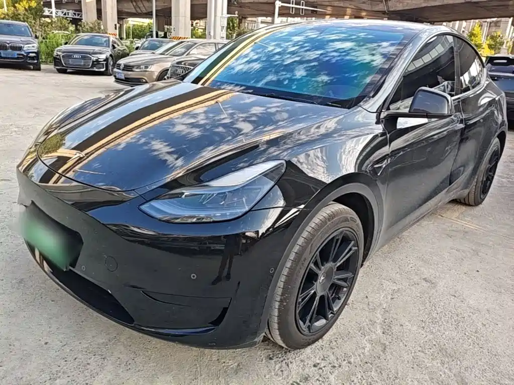 Tesla Model Y — миниатюра 2