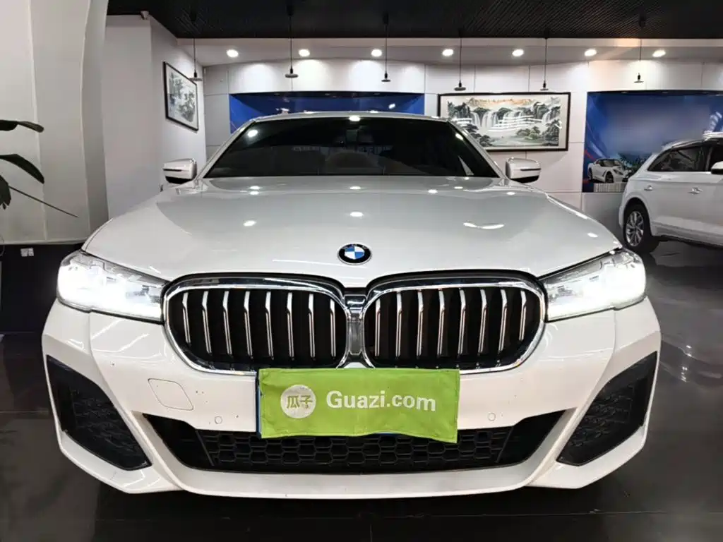 BMW 5 Series — миниатюра 3