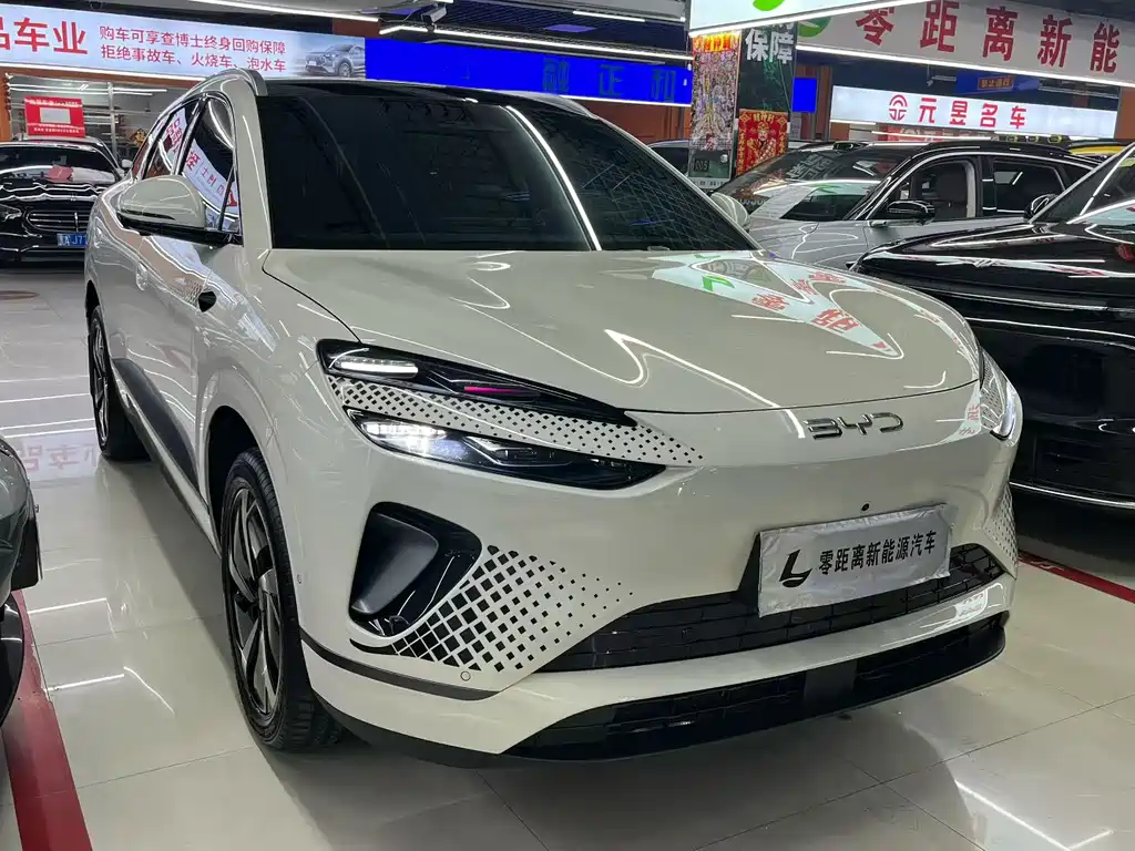 BYD Haisi 06 — миниатюра 3