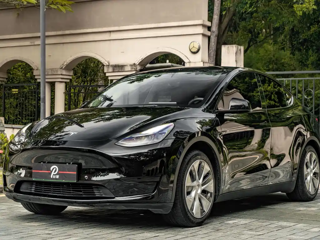 Tesla Model Y — миниатюра 3