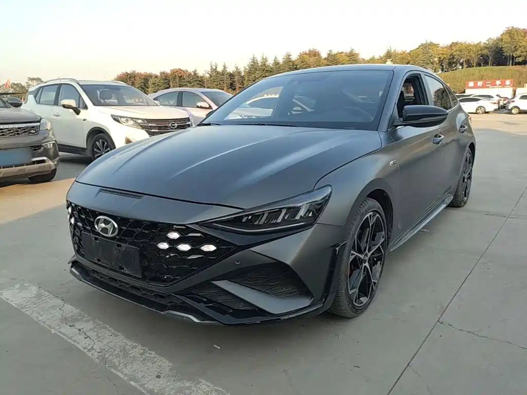 Hyundai Fista — миниатюра 2