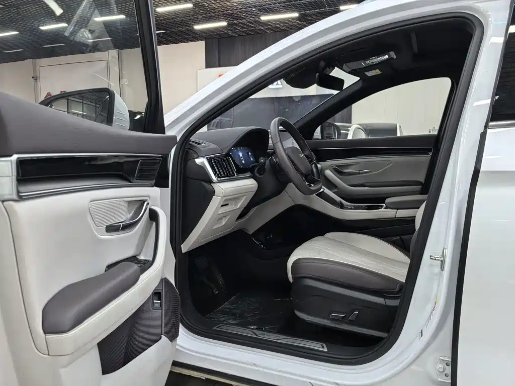 BYD PLUS New Energy — миниатюра 4