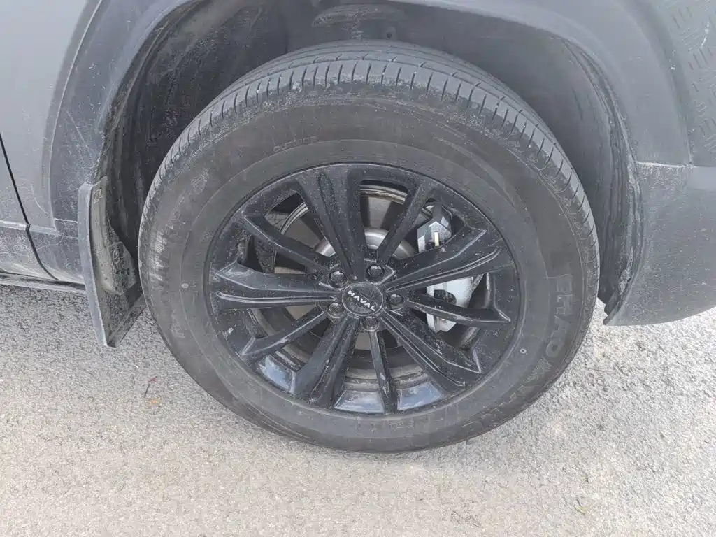 Haval Menglong New Energy — миниатюра 24