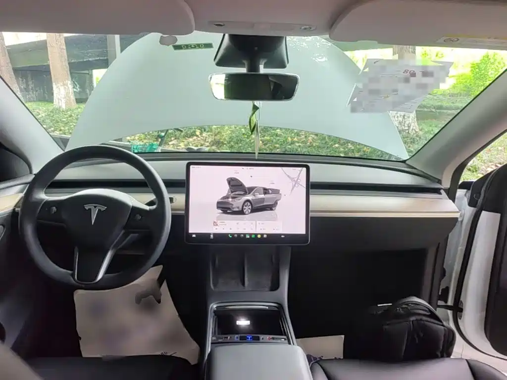Tesla Model Y — миниатюра 10