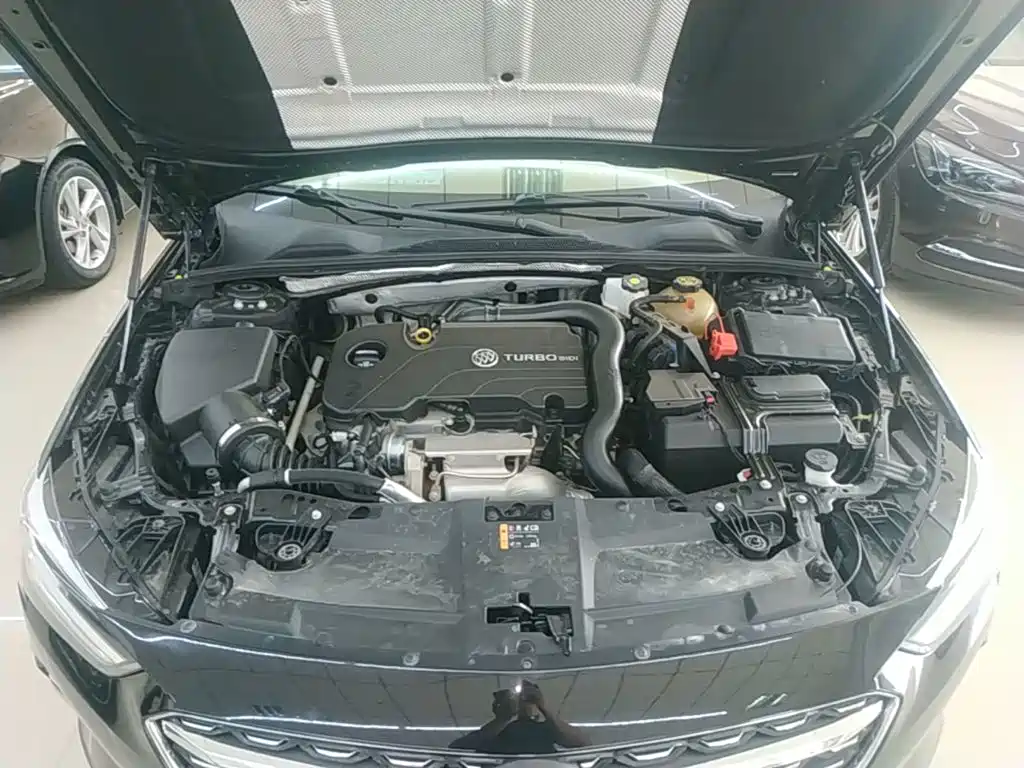 Buick Regal — миниатюра 20