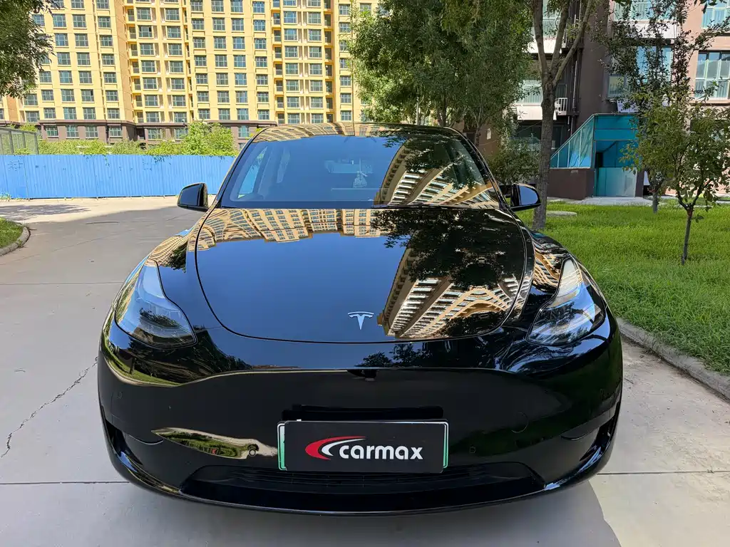 Tesla Model Y — миниатюра 2